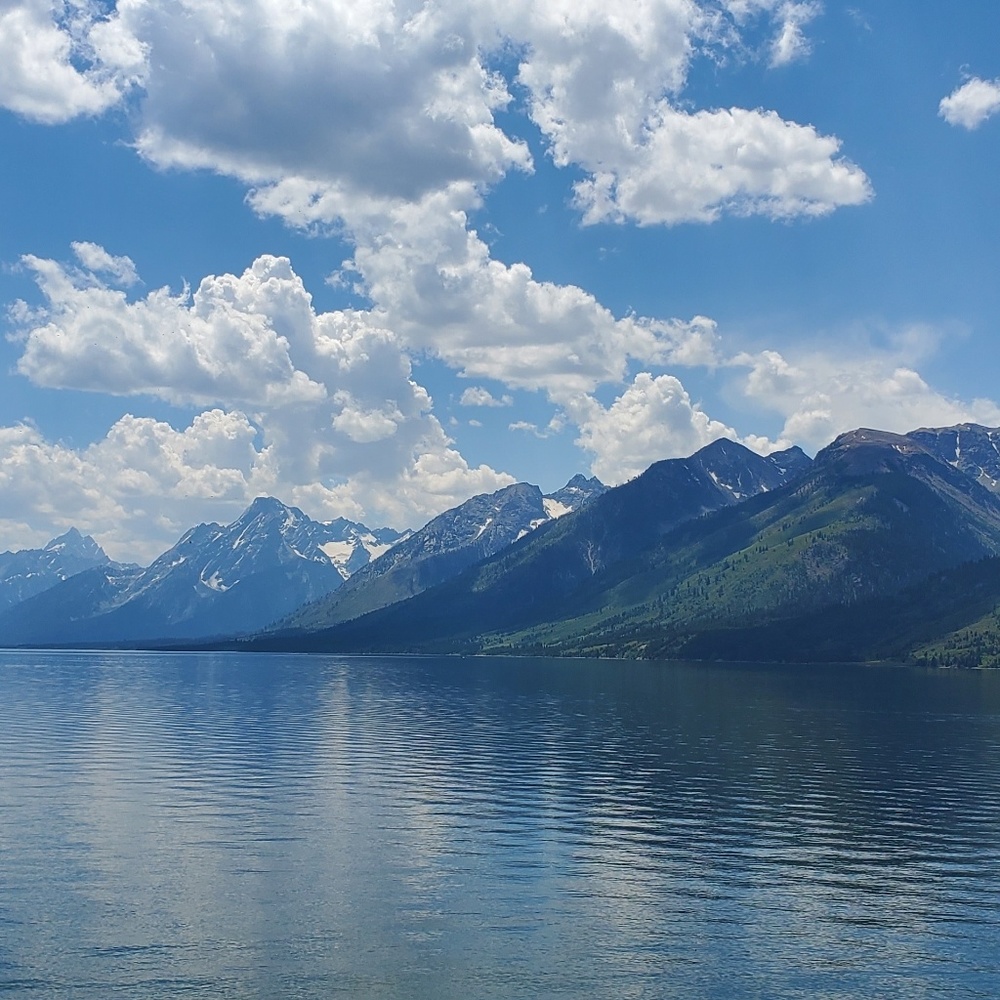 Meet your Posher, Catherine